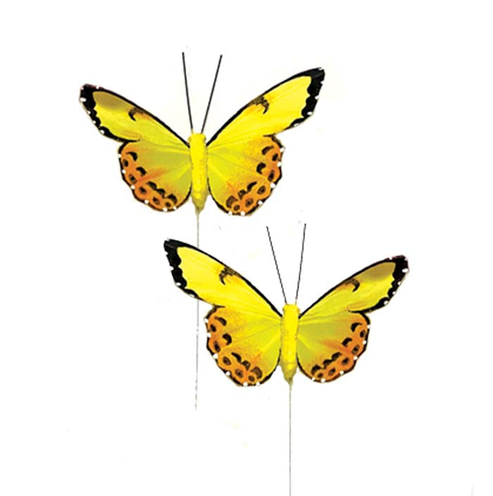 MB067Y