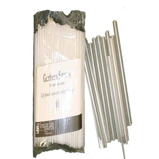 GS4-BAG
