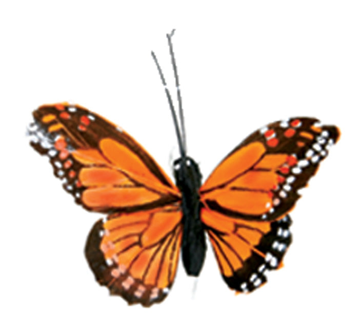 Butterflies – Frontierimports.com