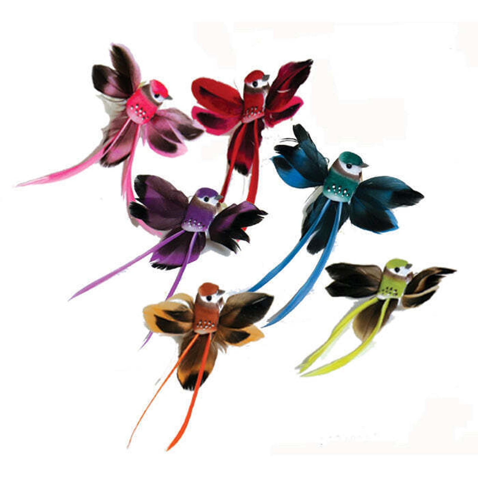 Birds – Frontierimports.com